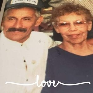 Meet your Posher, Dino